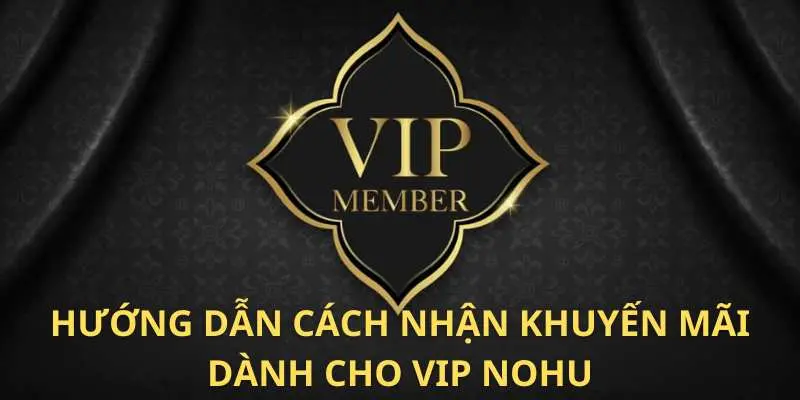 Thành viên câu lạc bộ VIP NOHU luôn nhận được nhiều ưu đãi mỗi ngày